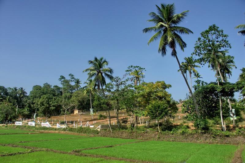 Sri Lanka, Hikkaduwa